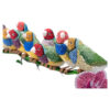 Crystal Myriad Gouldian Finches