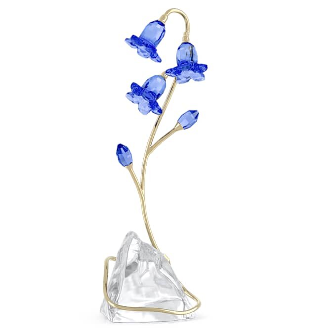 Florere blå klockblomma Florere blå klockblomma