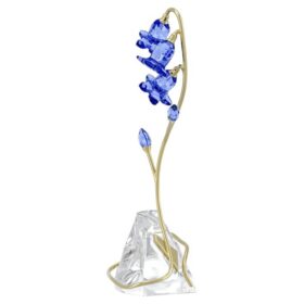 Florere blå klockblomma