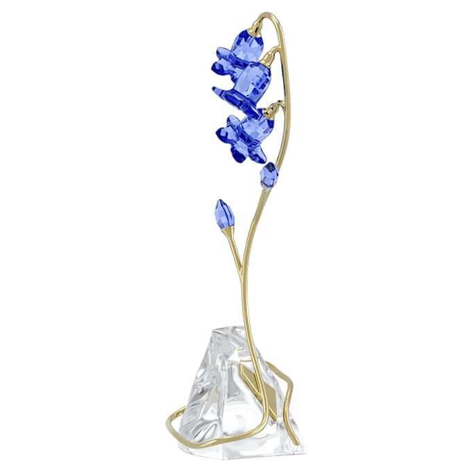 Florere blå klockblomma Florere blå klockblomma