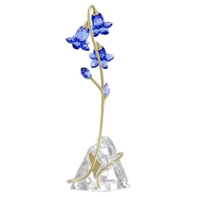 Florere blå klockblomma Florere blå klockblomma