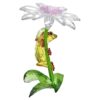 Idyllia – Grodor och blommor