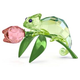 Idyllia Kameleont och tulpan