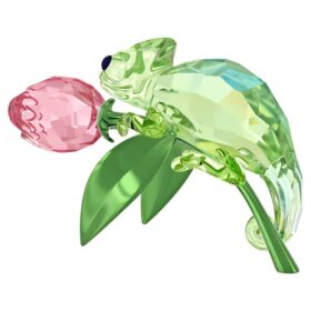 Idyllia Kameleont och tulpan