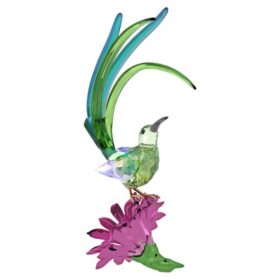 Idyllia: Sockersfågel och kaktusblomma