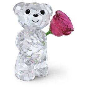 Kris Bear bär en ros med kärlek
