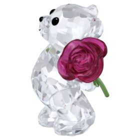 Kris Bear bär en ros med kärlek