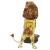 Lejonkungen Mufasa Lejonkungen Mufasa