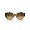 Solglasögon i Cat-Eye-form, Sk6008, bruna Solglasögon i Cat-Eye-form, Sk6008, bruna