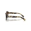 Solglasögon i Cat-Eye-form, Sk6008, bruna Solglasögon i Cat-Eye-form, Sk6008, bruna