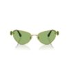 Solglasögon i Cat-Eye-form, Sk7003, gröna Solglasögon i Cat-Eye-form, Sk7003, gröna